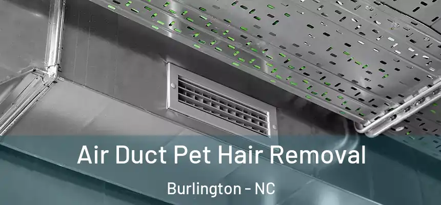 Air Duct Pet Hair Removal Burlington - NC