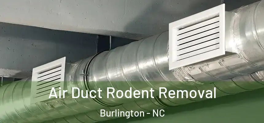  Air Duct Rodent Removal Burlington - NC
