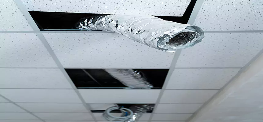 Affordable HVAC Sanitizing After Pest Removal in Burlington