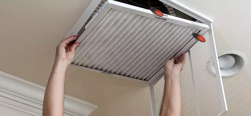 Our Insect Removal from Air Ducts Services in Burlington, NC