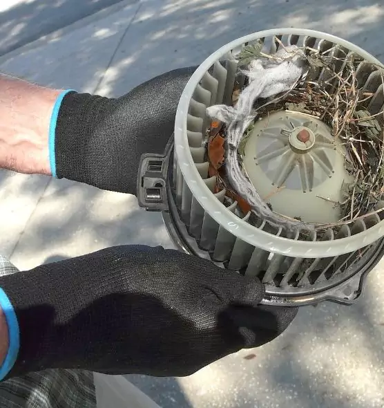 About Air Duct Rat Removal in Burlington, NC