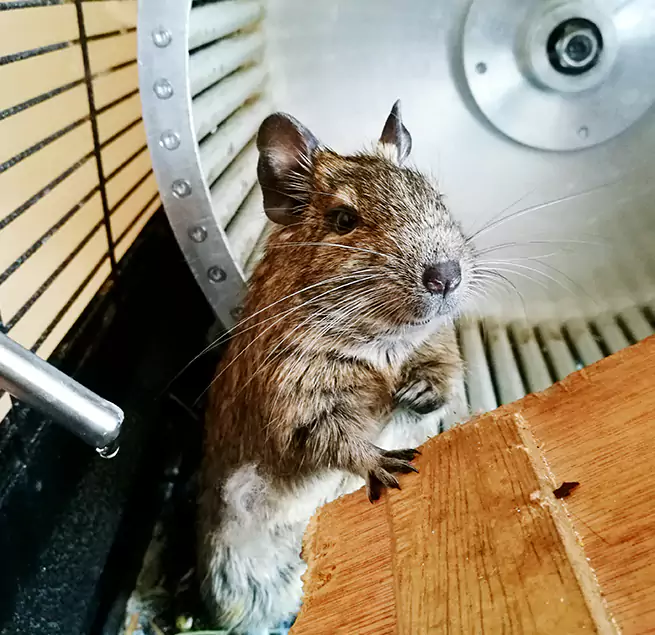 Why Homeowners & Businesses Trust Us Burlington, NC